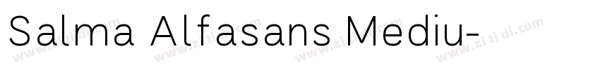 Salma Alfasans Mediu字体转换